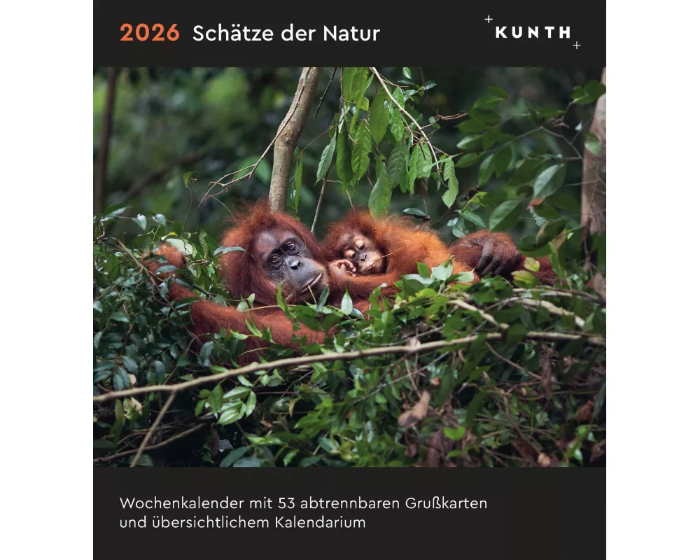 Schätze der Natur - KUNTH Postkartenkalender 2026