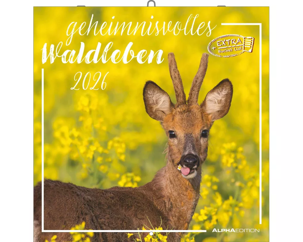 Alpha Edition - Geheimnisvolles Waldleben Kalender 2026 – Wandkalender 30x30 cm – Für Naturliebhaber – 12 beeindruckende Waldtier-Fotografien, viel Pl