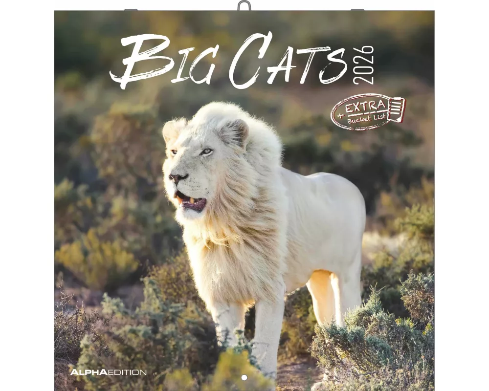 Alpha Edition - Big Cats Kalender 2026 – Wandkalender 30x30 cm – Für Wildtier- & Naturfreunde – 12 beeindruckende Fotografien von Raubkatzen, viel Pla