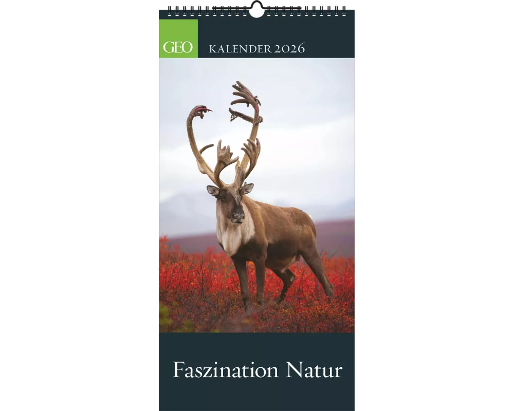 GEO - Faszination Natur 2026 – Wandkalender 22x45 cm, 12 Monatsblätter mit hochwertigen Naturfotografien, deutsches Kalendarium & Spiralbindung