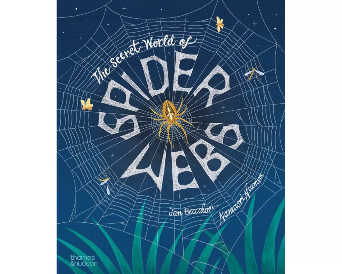 The Secret World of Spider Webs