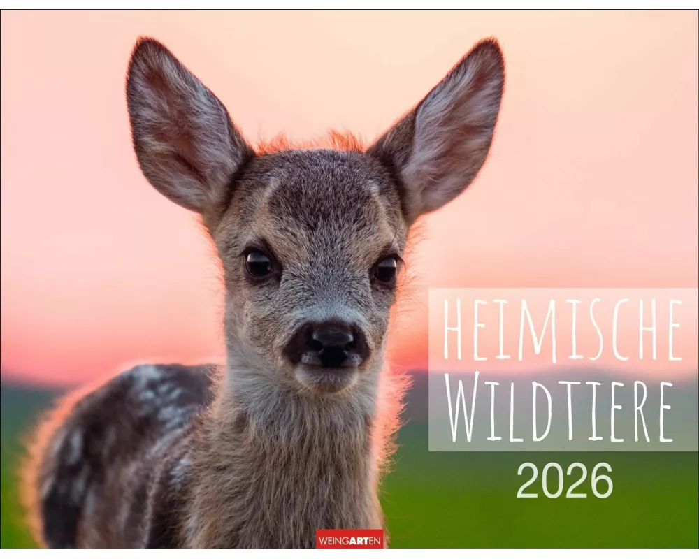 Heimische Wildtiere Kalender 2026