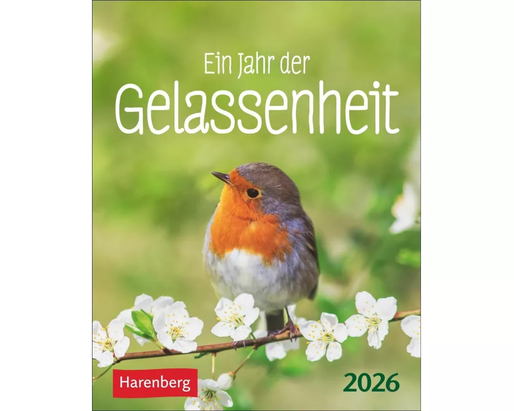Ein Jahr der Gelassenheit Mini-Geschenkkalender 2026