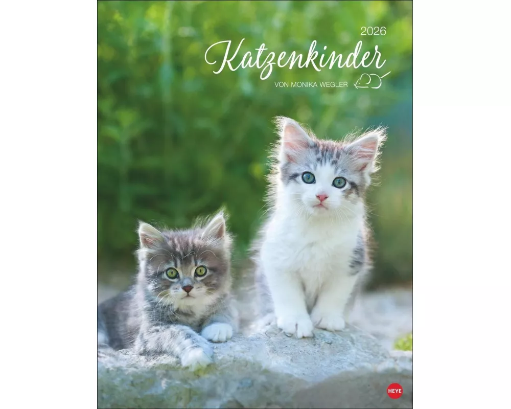 Katzenkinder Posterkalender 2026