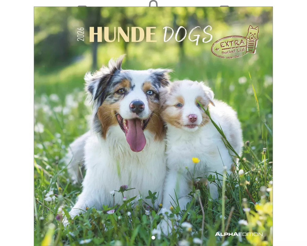 Alpha Edition - Hunde Kalender 2026 – Wandkalender 30x30 cm für Hundeliebhaber – 6-sprachiges Kalendarium mit Feiertagen & Ferienterminen, Monatsübers