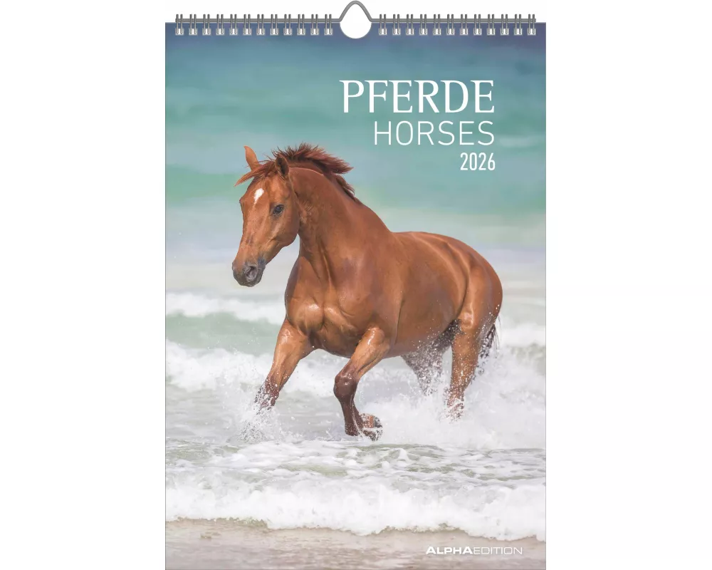 Alpha Edition - Pferde Kalender 2026 – Wandkalender & Bildkalender 24×34 cm mit 12 hochwertigen Pferdebildern, 4-sprachigem Kalendarium, Geschenkidee