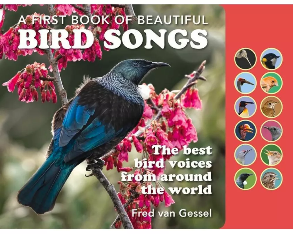 A First Book of Beautiful Bird Songs