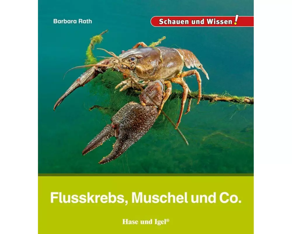 Flusskrebs, Muschel und Co