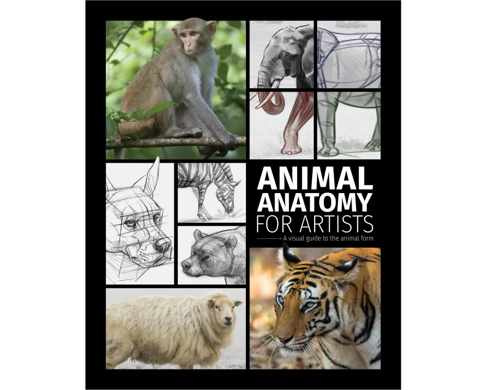 Animal Anatomy for Artists