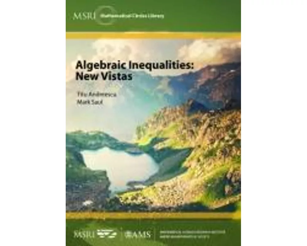 Algebraic Inequalities: New Vistas