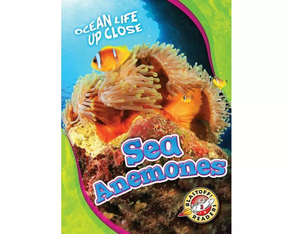 Sea Anemones