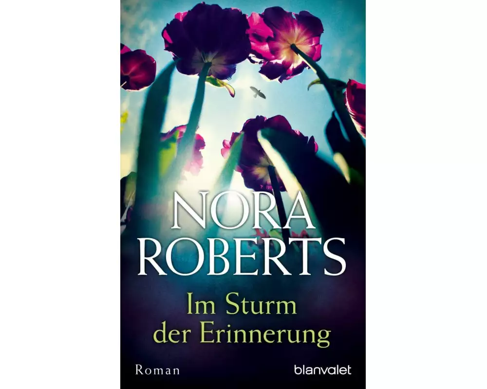 Im Sturm der Erinnerung