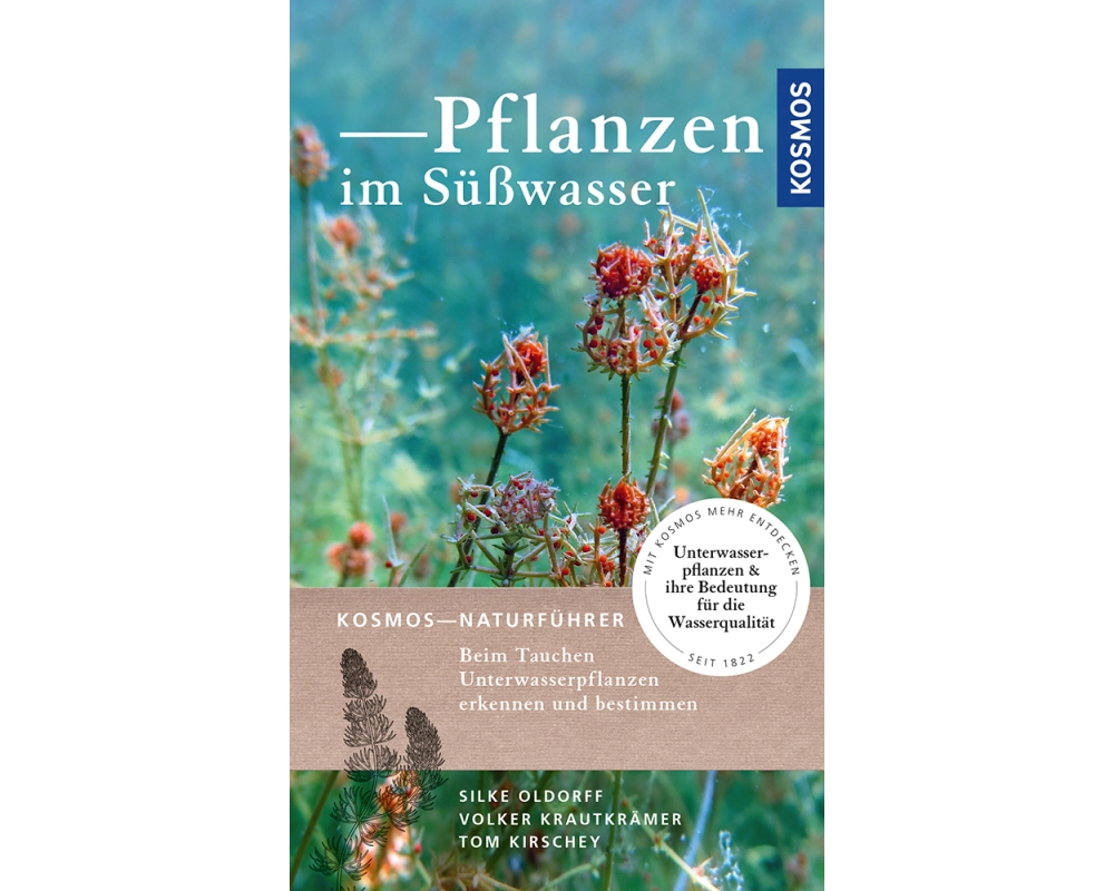 Pflanzen im Süßwasser