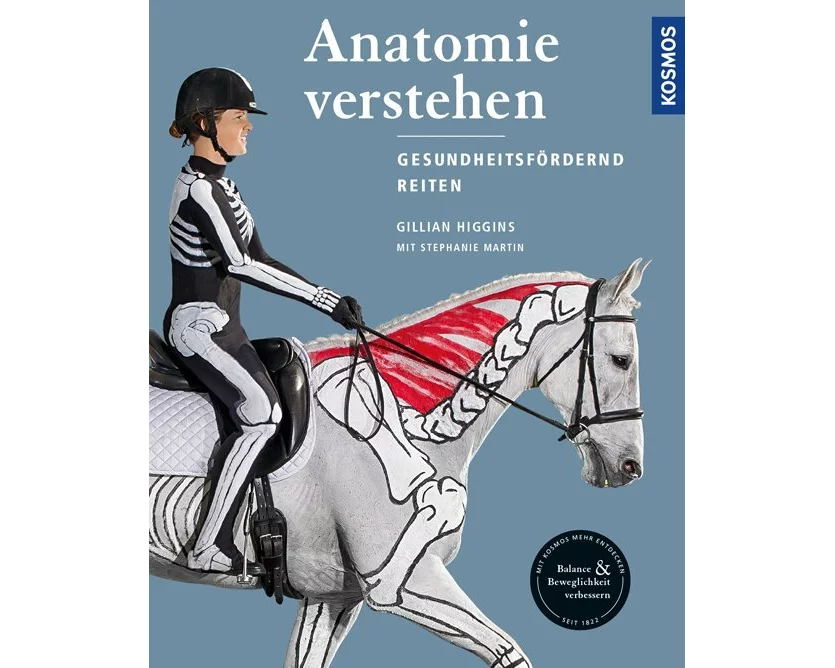 Anatomie verstehen - Pferde gesundheitsfördernd reiten - Das Praxisbuch