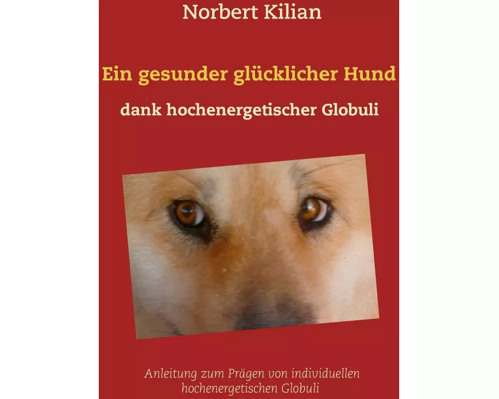 Ein gesunder glücklicher Hund dank hochenergetischer Globuli
