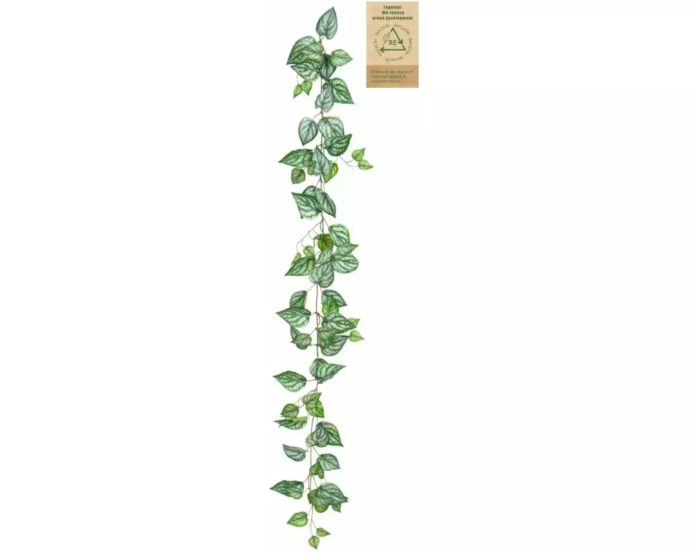 Botanic-Haus Kunstpflanze Calatheagirlande 150 cm