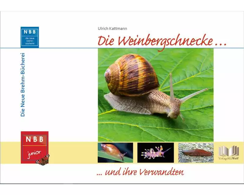 Die Weinbergschnecke und ihre Verwandten
