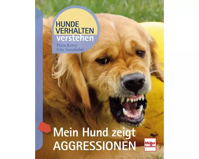 Mein Hund zeigt Aggressionen