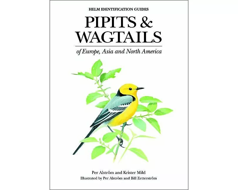 Pipits and Wagtails of Europe, Asia and North America