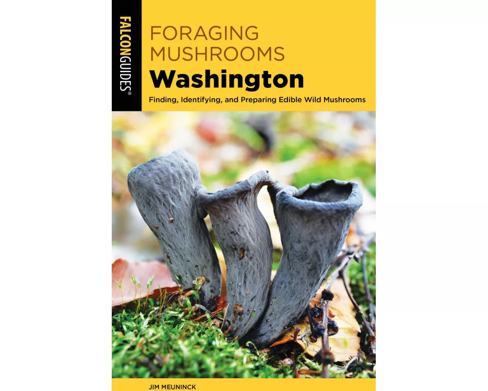 Foraging Mushrooms Washington