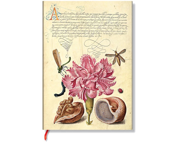 PAPERBLANKS Notizbuch Rosa Nelke Midi FB9728-0 blanko 176 Seiten