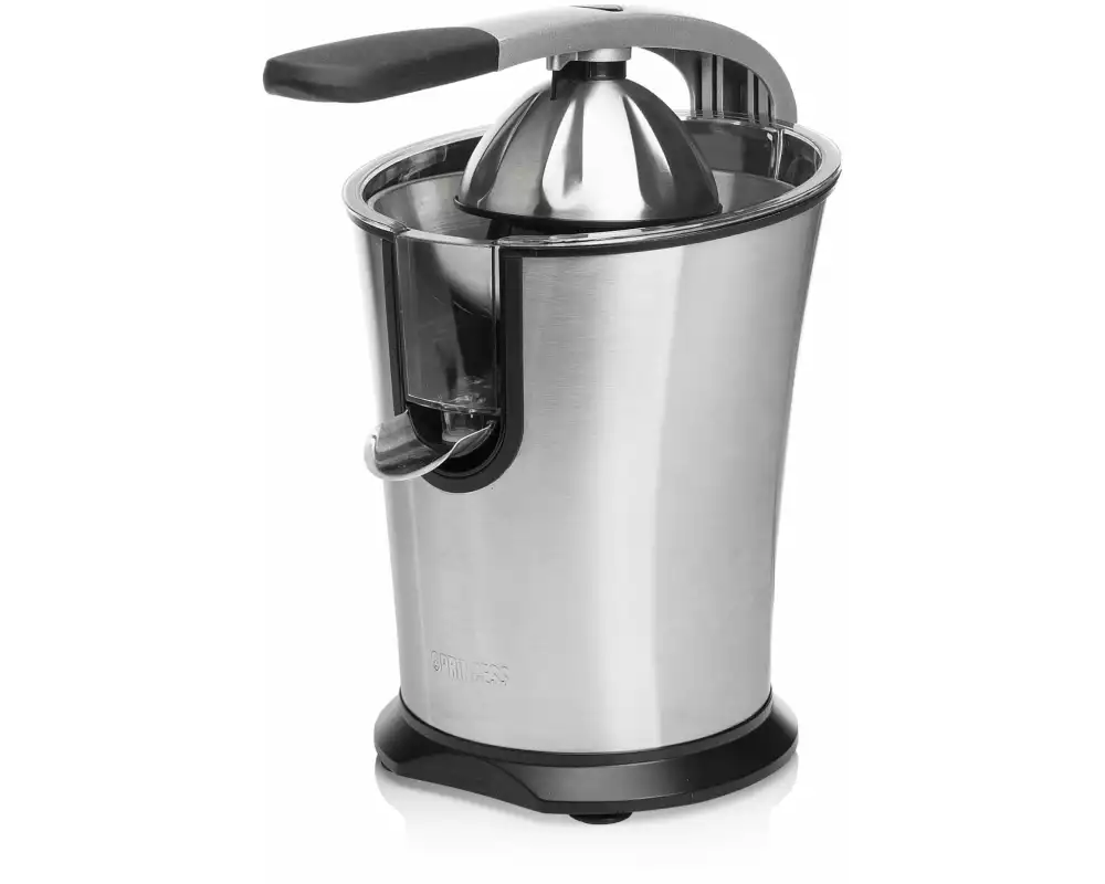 Princess Saftpresse Silber