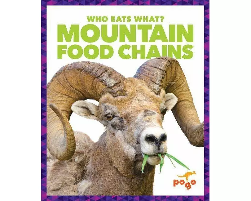 Mountain Food Chains
