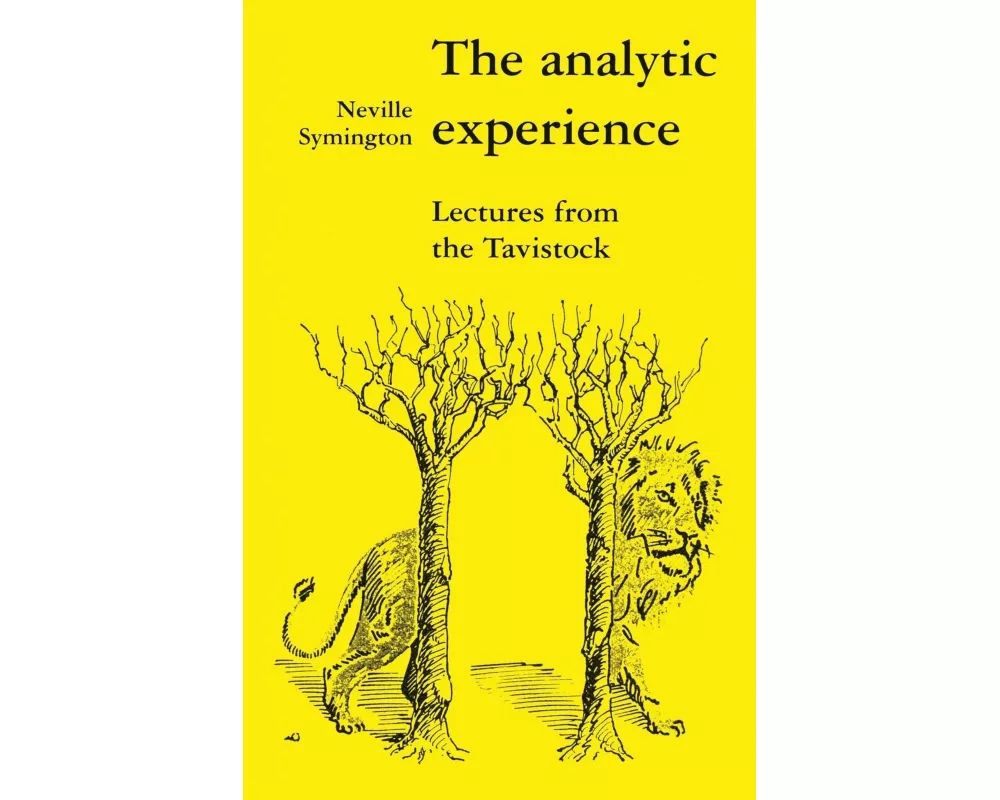The Analytic Experience