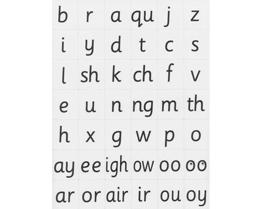 Read Write Inc. Phonics: Magnetic Speed Sound Cards