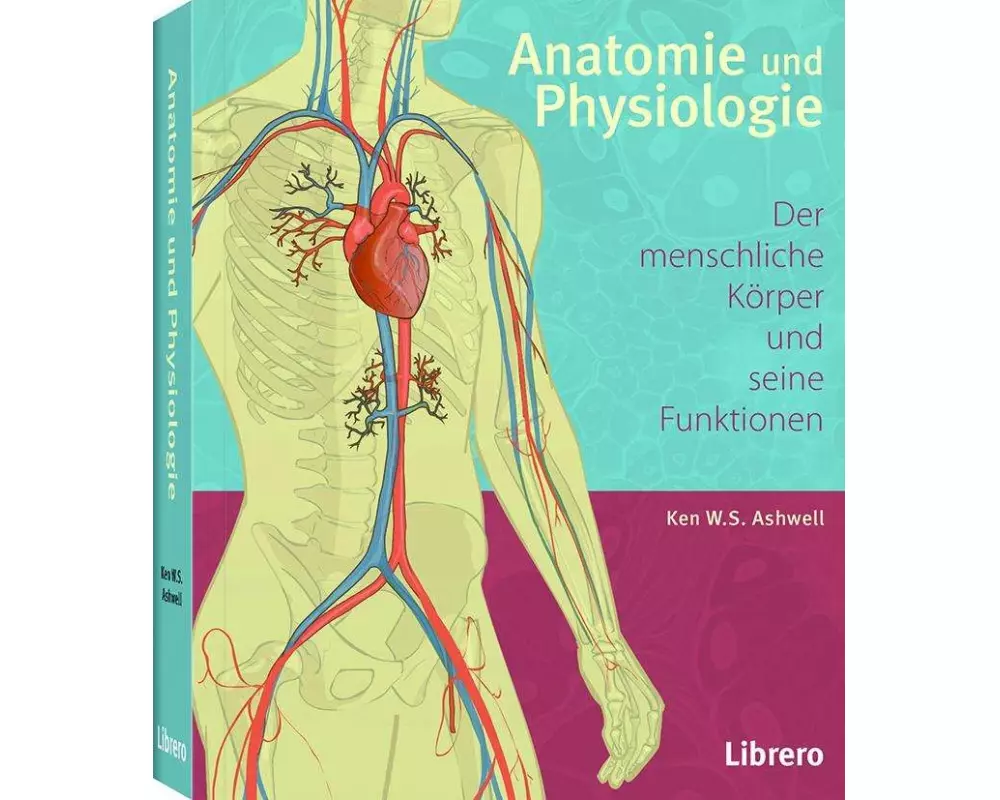 Anatomie und Physiologie