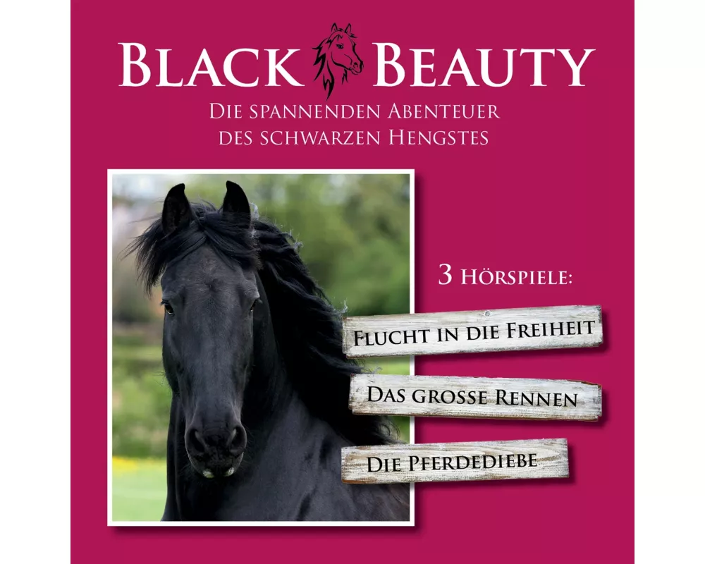 Black Beauty Die Spannenden Abenteuer Des Schwarze
