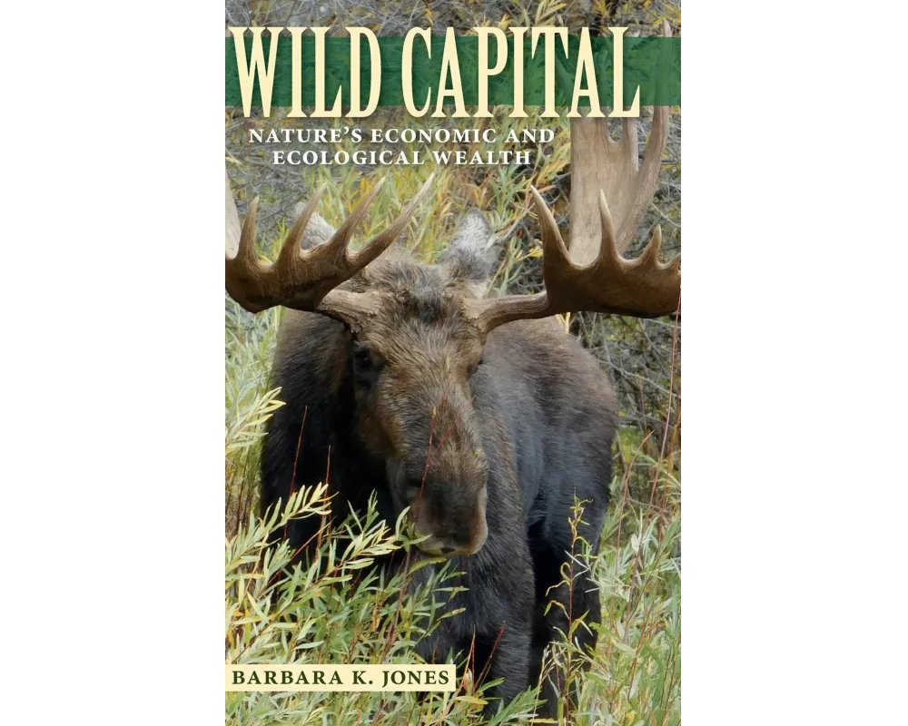 Wild Capital