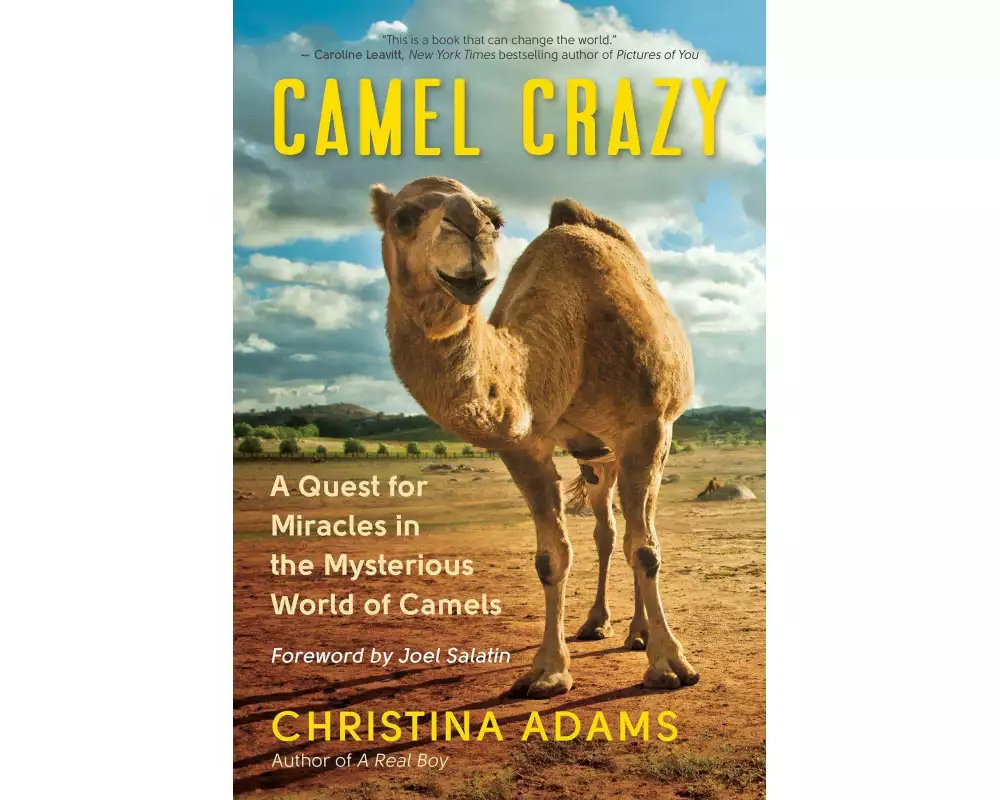 Camel Crazy