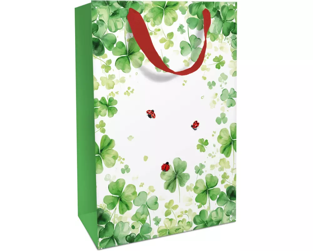 Braun + Company Geschenktasche Lucky You 26 x 36 x 13 cm
