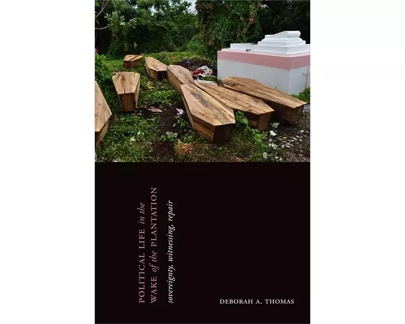 Political Life in the Wake of the Plantation