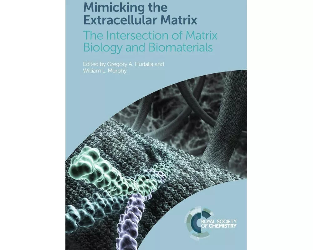 Mimicking the Extracellular Matrix