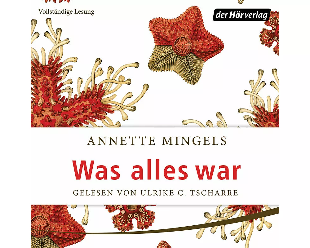 Was alles war