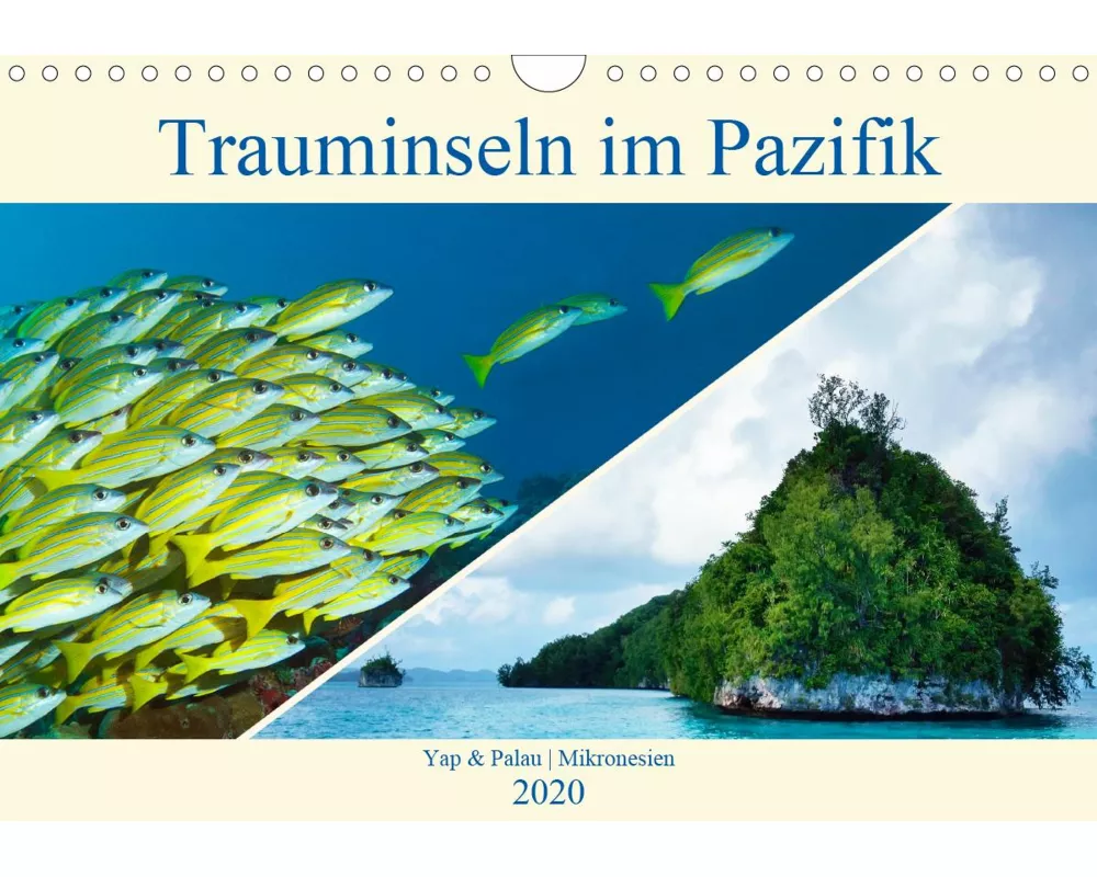 Mikronesien: Yap und Palau (Wandkalender 2020 DIN A4 quer)