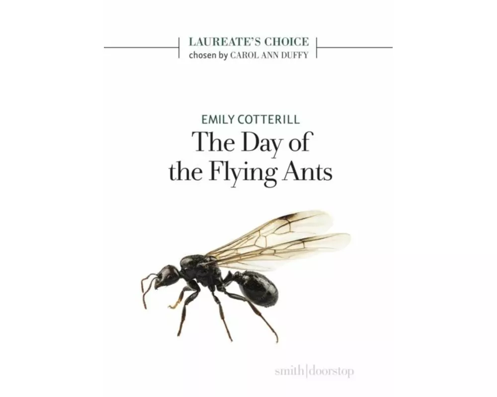 The Day of the Flying Ants