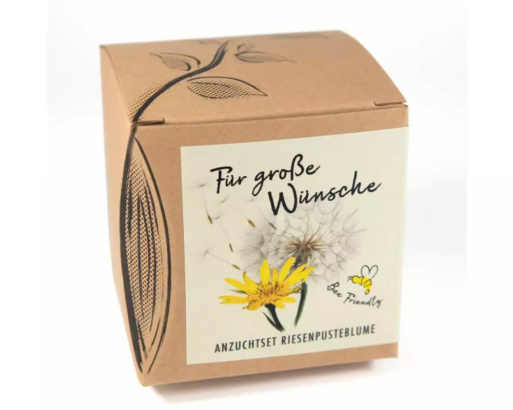 Naturkraftwerk Anzuchtset Für grosse Wünsche mit Riesenpusteblume