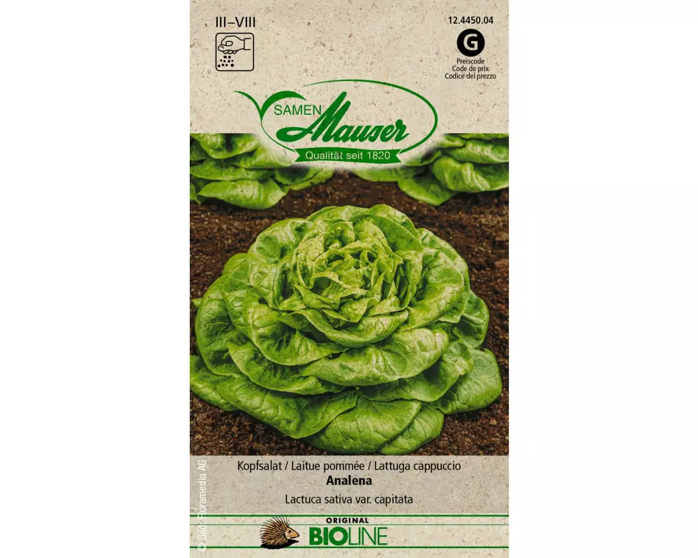 Samen Mauser Samen BIO Kopfsalat Analena