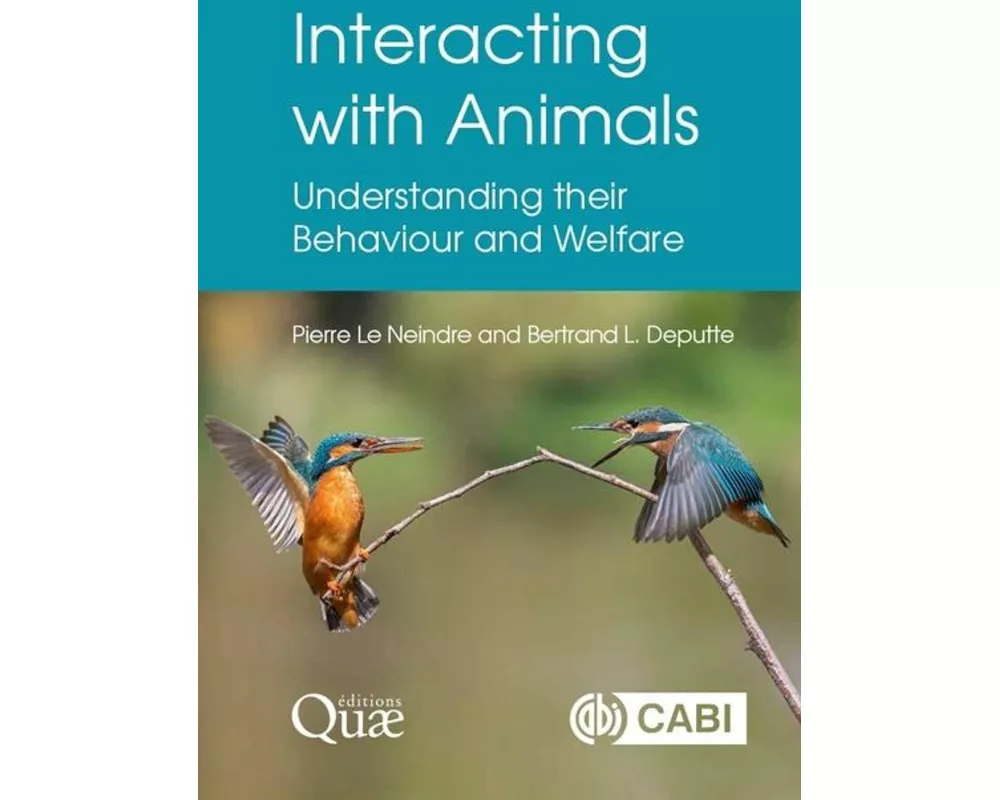 Interacting with Animals