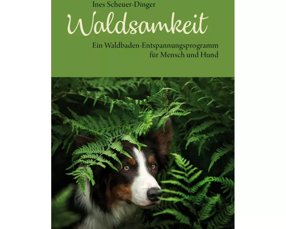 Waldsamkeit