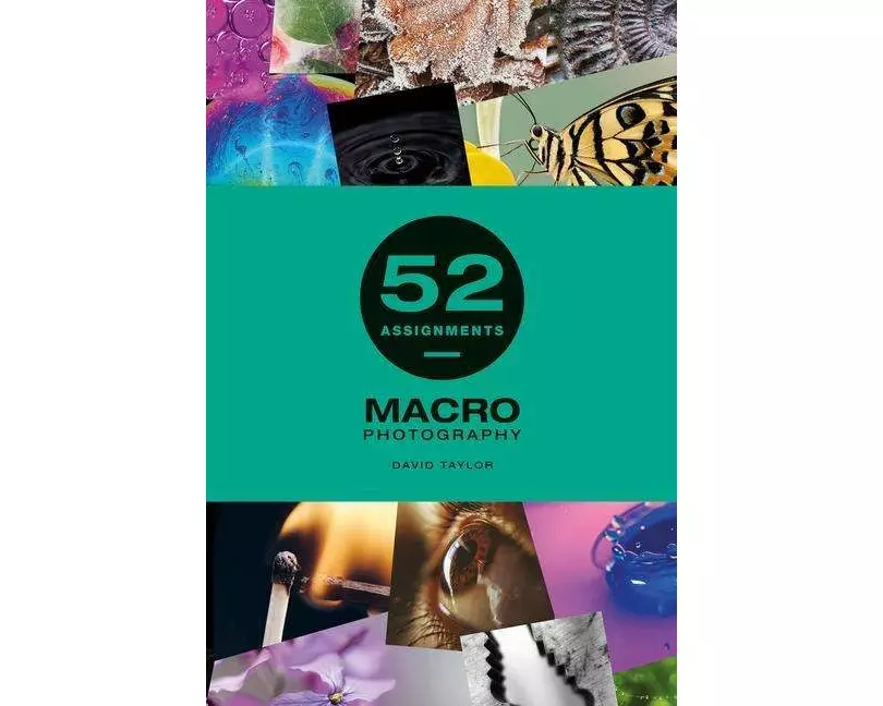 52 Assignments: Macro Photography