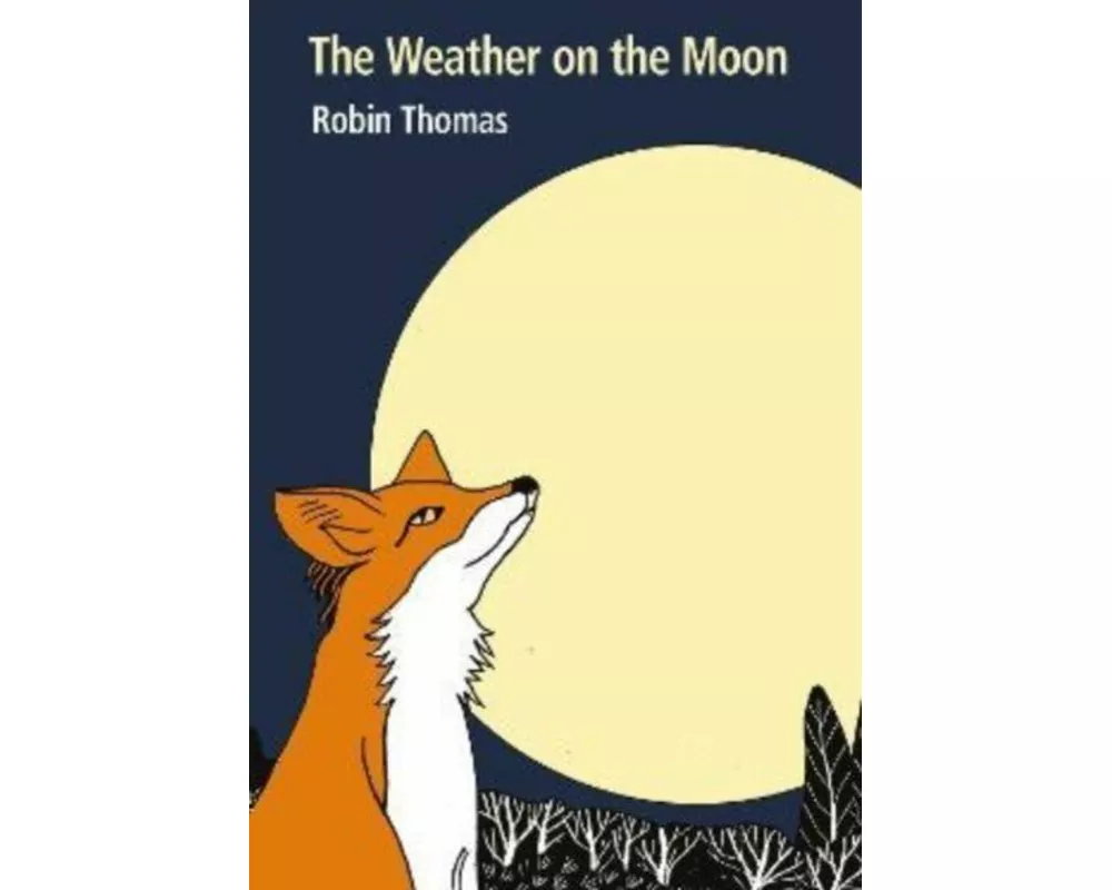 The Weather on the Moon