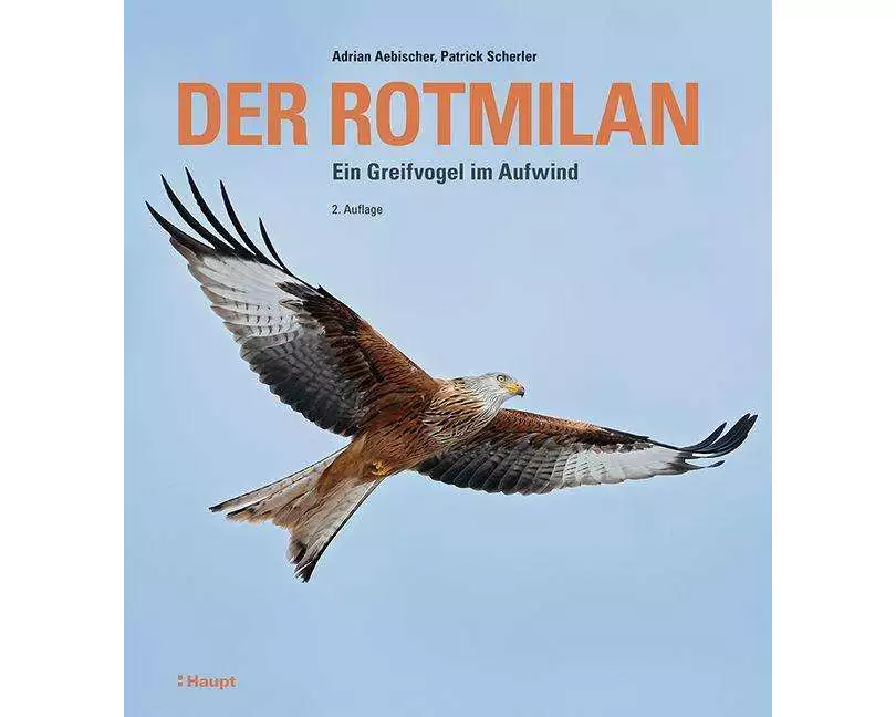 Der Rotmilan