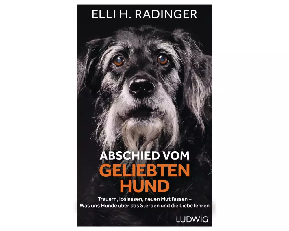Abschied vom geliebten Hund