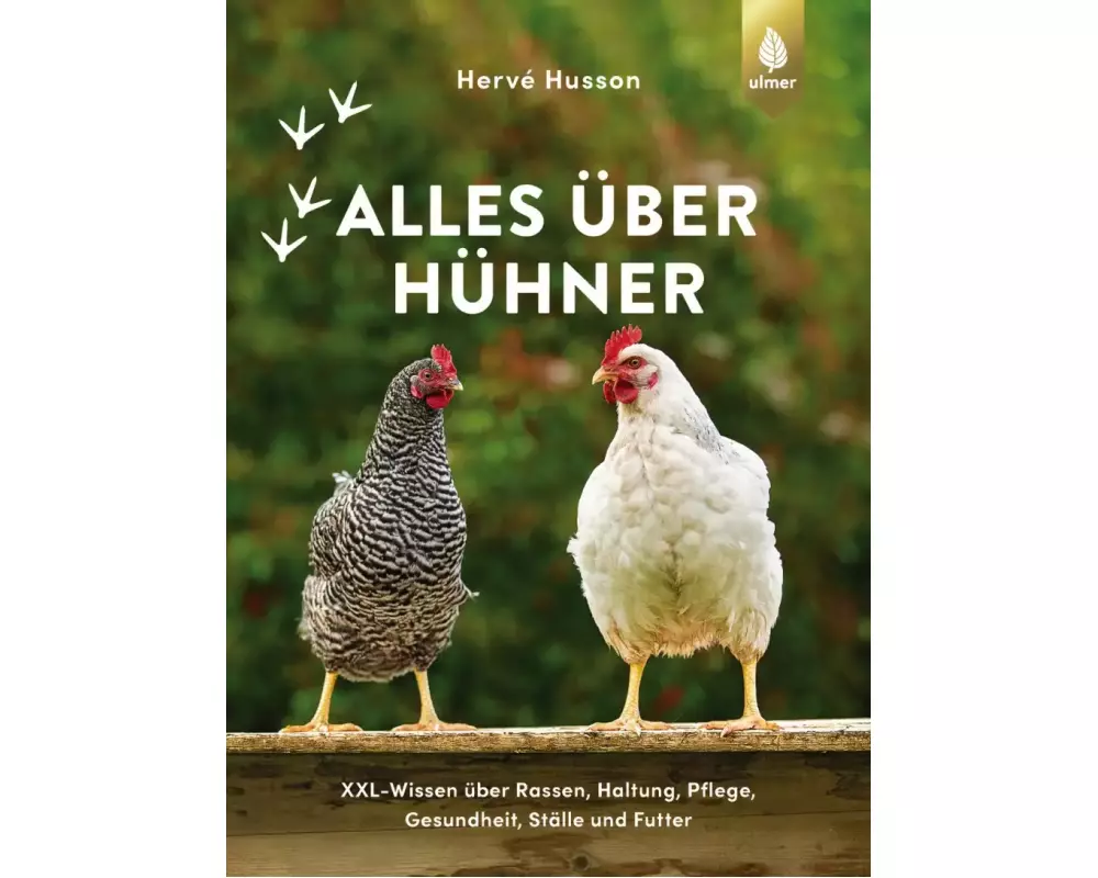 Alles über Hühner