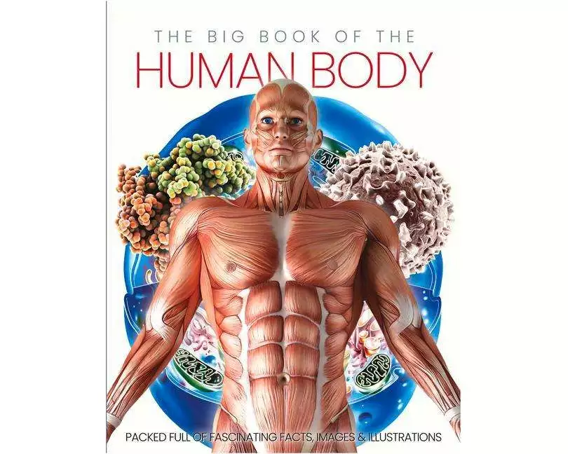 The Big Book of the Human body