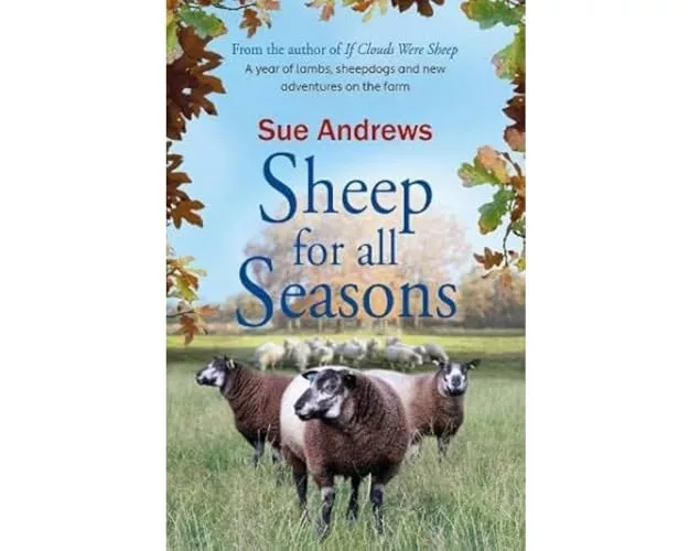 Sheep For All Seasons